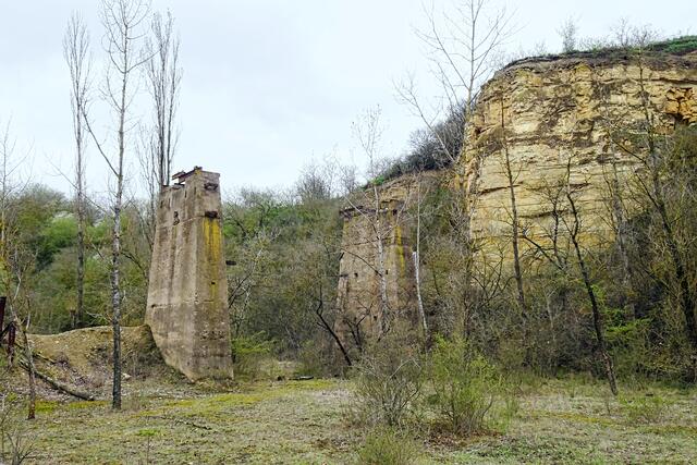 in der ehem.  Kalkgrube Weinberggrund