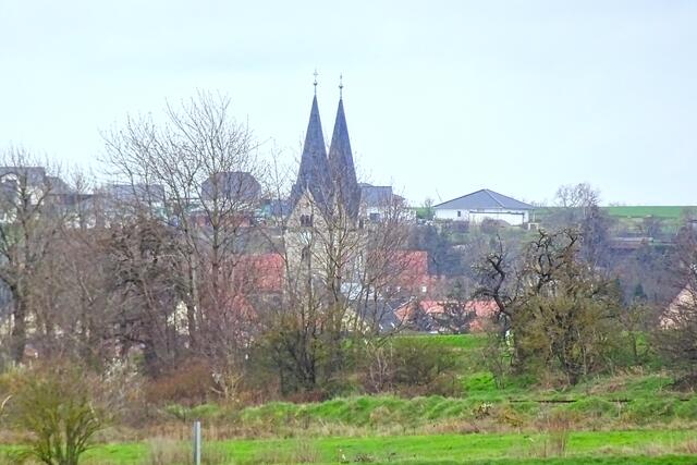 Hecklingen mit der Basilika St. Georg u. Pancratius (vom Weinberggrund aufgenommen)