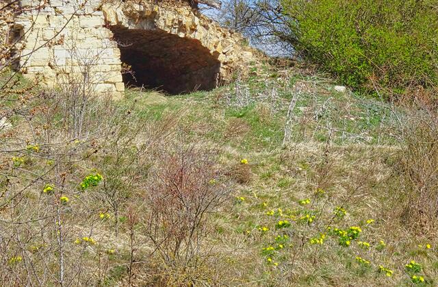 alter Obstkeller im Weinberggrund