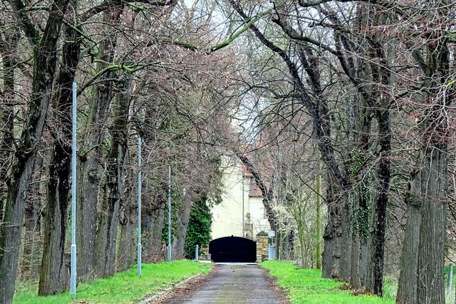 Schlossallee Gäsnefurth