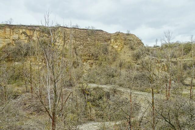 ehem. Kalkgrube Weinberggrund