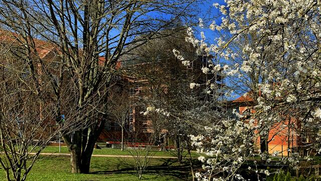 Zwischen Katersteig und Turnerweg breitet sich in dem kleinen Park eine attraktive Frühlingsatmosphäre aus.