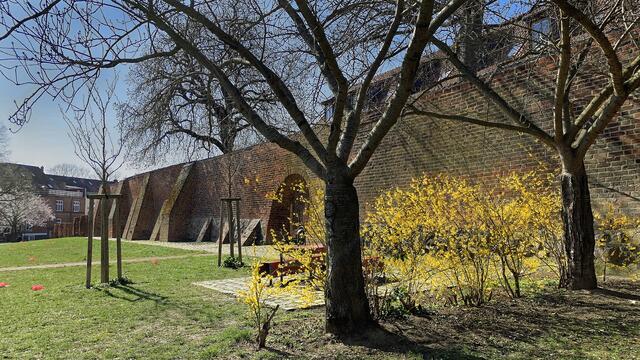 Die Aprilsonne beleuchtet die bogenförmigen Tore, die sogenannten „Windpforten“, die einst als Durchgänge zu den vor der Mauer gelegenen Gärten benutzt wurden.