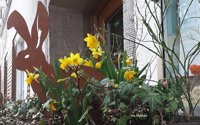 Foto: Iris Alefelder