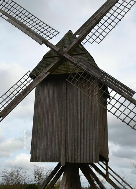 Mühlenmontag - Sorgenser Bockwindmühle

(Foto: Katja Woidtke)