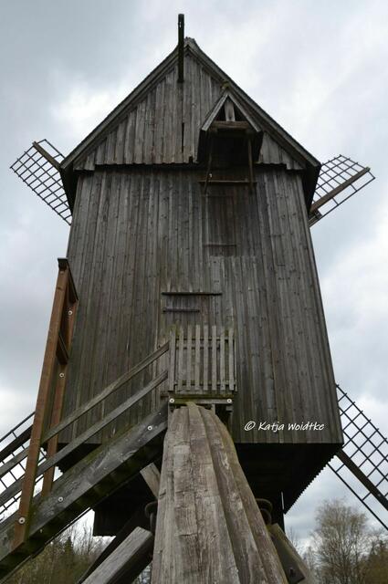 Mühlenmontag - Sorgenser Bockwindmühle

Rückansicht mit Steert

(Foto: Katja Woidtke)