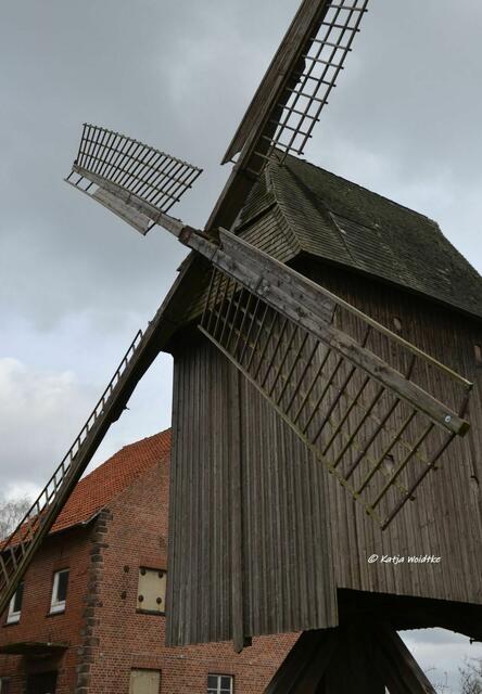 Mühlenmontag - Sorgenser Bockwindmühle

(Foto: Katja Woidtke)
