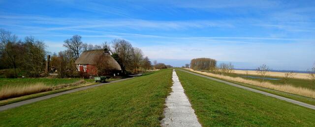 Deichspaziergang in Krautsand