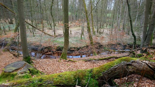Abseits des Auetals erschließt sich noch das Steinbecktal.