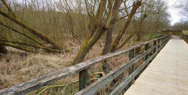 Im Auetal: Der Bach fließt hier als Aue, später fließt er als Lühe weiter.