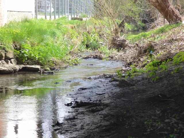 Gemütlich fliesst der Bach durch Pattensen