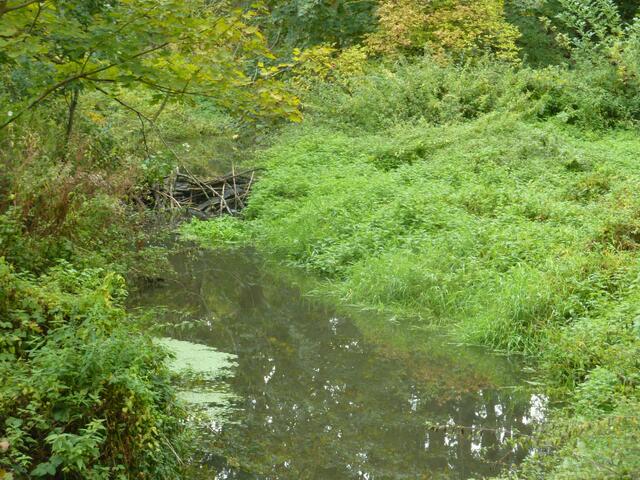 Der 5. Damm ist gut von der Brücke an der Redener Strasse zu sehen.