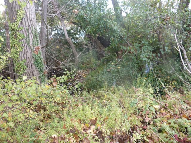 Der dritte Damm ist etwas versteckt