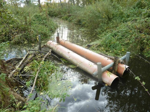 Der letzte und 6. Damm beim zusammenfluß von Fuchsbach und Koldinger Mühlenbach. Ab hier heißt es Alte Leine. Hier wurde wegen des hohen Grundwasserspiegels eine Verrohrung gebaut. 
