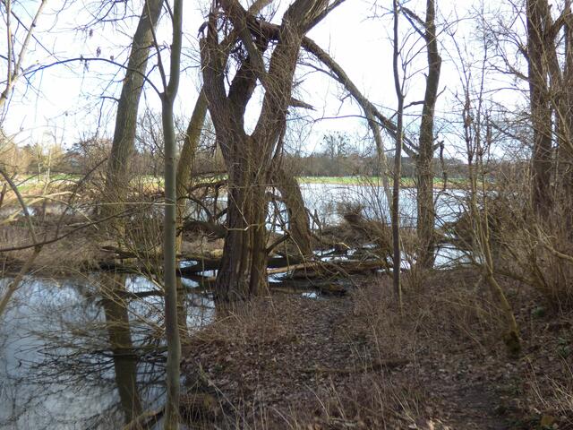 Vor dem 4. Damm fließt das Wasser wieder voll auf die Felder