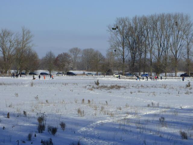 Die anderen Eisvögel