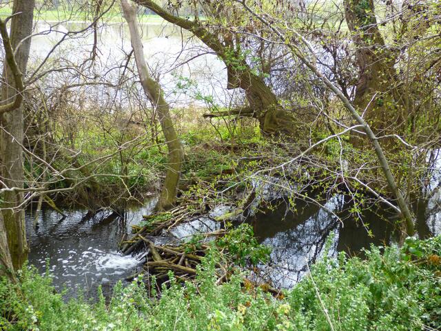 Der 3. Damm am 17. April