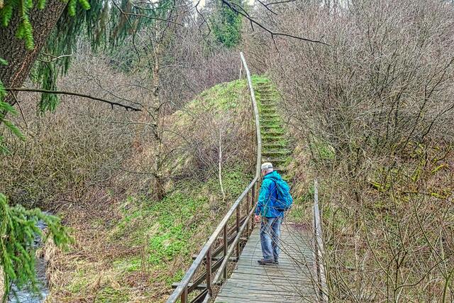 Rappbodebrücke am Rappbode Echo