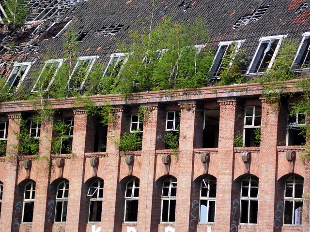 Der Natur hat es nichts ausgemacht. Sie hat das Gelände überall erobert.