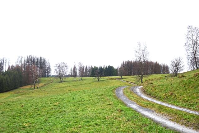 Bergwiesen 