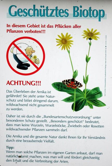 geschütztes Biotop in den Harzer Bachtälern