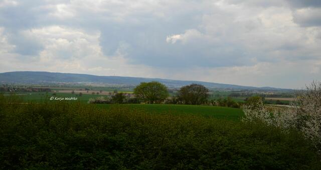 Tripsche Gartenanlage auf dem Gehrdener Berg - Ausblick vom Fuße der Freitreppe Richtung Deister

(Foto: Katja Woidtke)