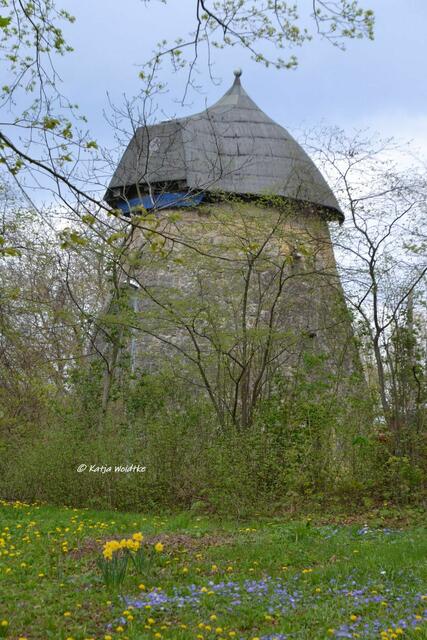 Mühlenmontag - Struckmeyersche Mühle auf dem Gehrdener Berg

(Foto: Katja Woidtke)