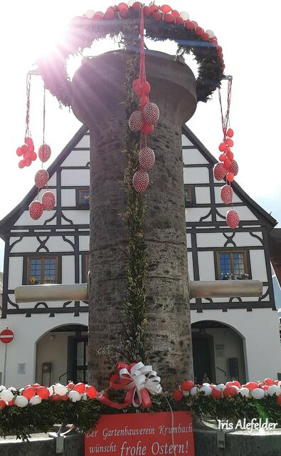 Im Hintergrund das alte Rathaus von Krumbach. | Foto: Iris Alefelder