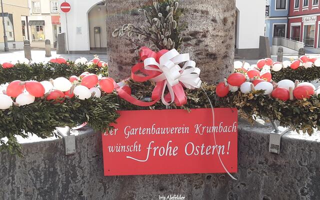Foto: Iris Alefelder