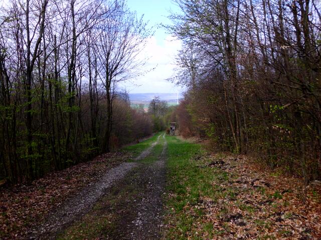 Weg zum Wilhelmsblick