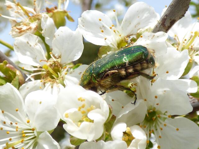 So ein kleiner Genießer! ;-))))))))))