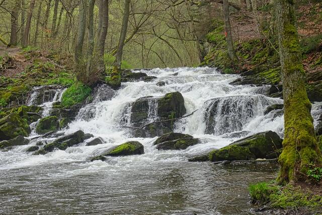 Selkefall