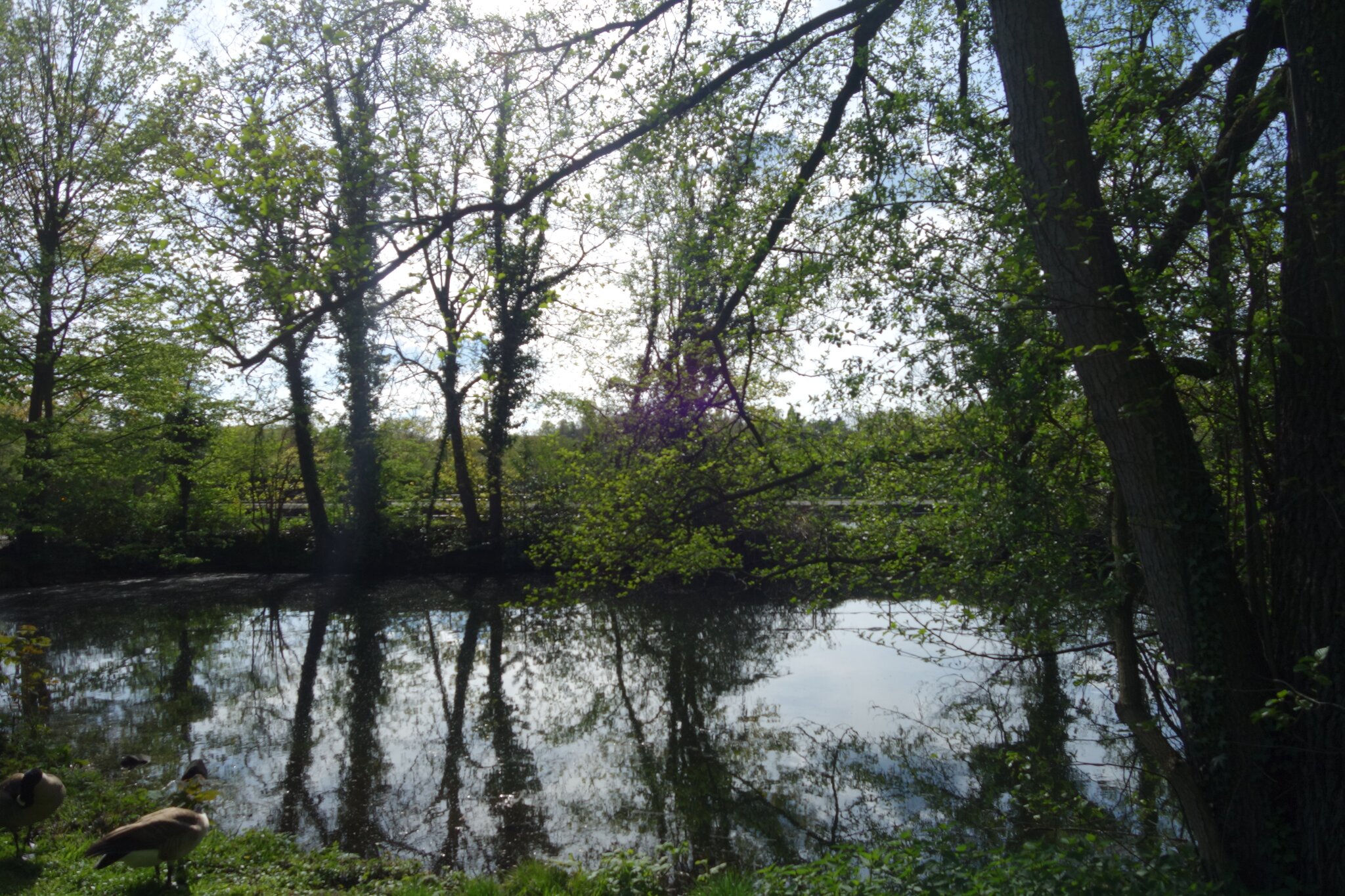 Ausflugsziele im Ruhrgebiet: Wasserbahnhof Mülheim an der Ruhr - Duisburg