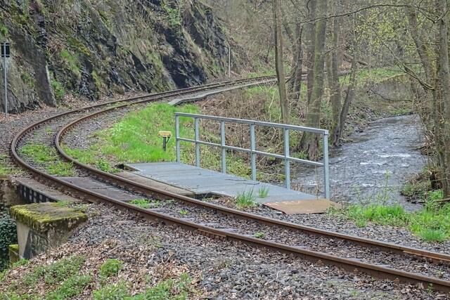 Selke mit Gleisen der Selketalbahn