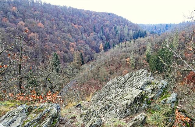 Blick von Mägdetrappe ins Selketal