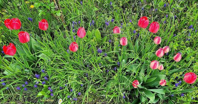 Foto: Iris Alefelder