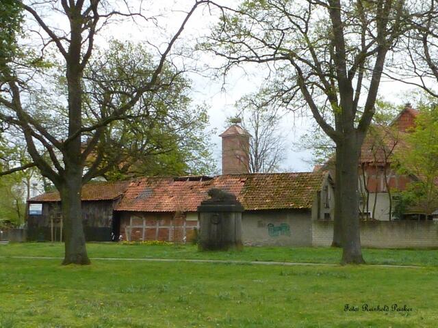 Foto: Reinhold Peisker