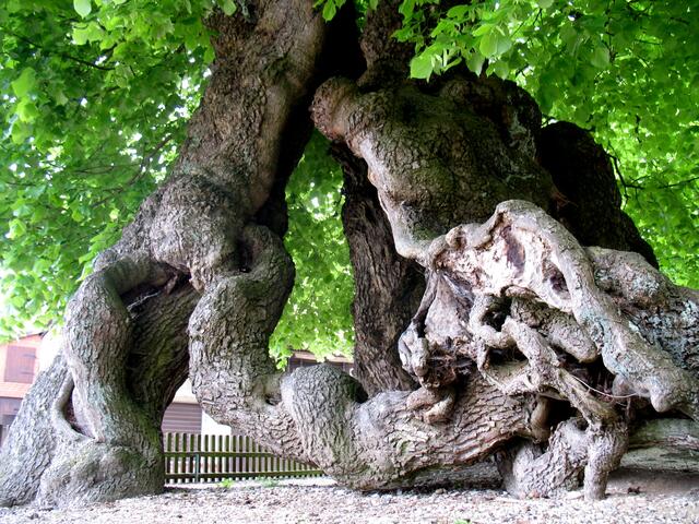 Staunen vor soviel Großartigkeit der Natur ist angesagt.