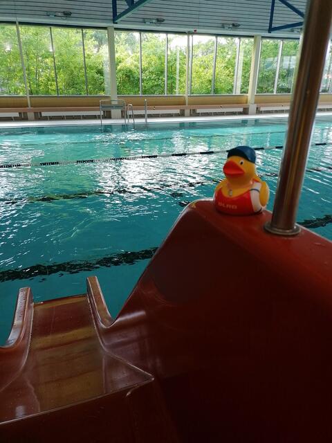 Platz 7 - Die Rutsche ist aber hoch (61 Stimmen) | Foto: Foto: DLRG Ortsgruppe Buseck e.V.