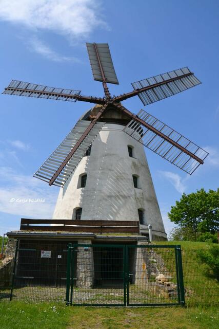 Mühlenmontag - Fünfflügelmühle Wendhausen 

(Foto: Katja Woidtke)