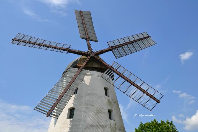 Mühlenmontag - Fünfflügelmühle Wendhausen 

(Foto: Katja Woidtke)