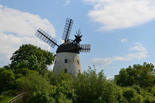 Mühlenmontag - Fünfflügelmühle Wendhausen 

(Foto: Katja Woidtke)