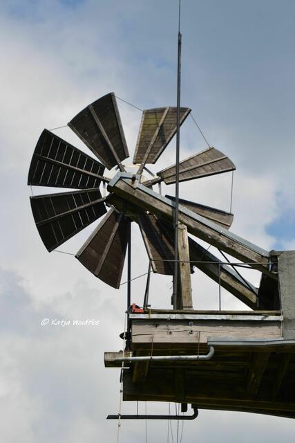 Mühlenmontag - Fünfflügelmühle Wendhausen 

Windrose

(Foto: Katja Woidtke)
