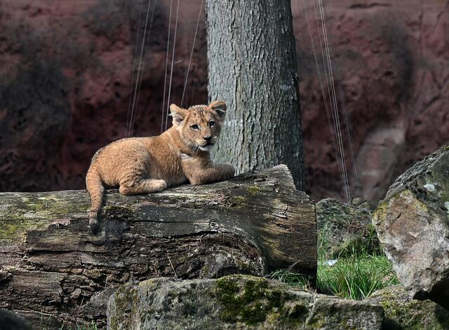 Kurz ausruhen gehört auch dazu