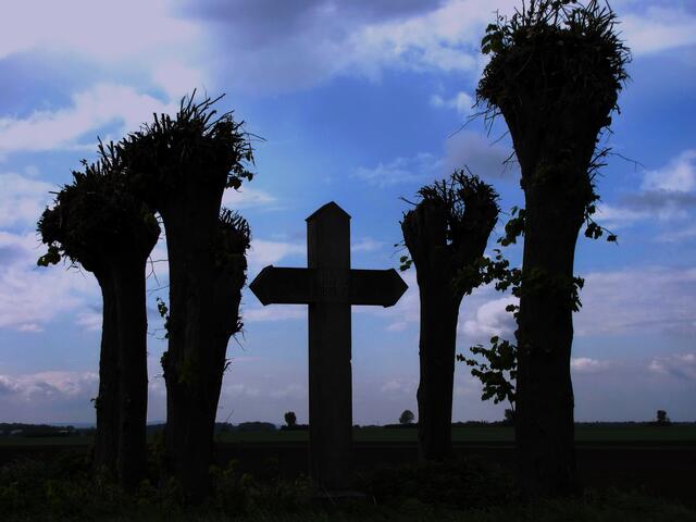 Du bist an diesem grusligen Ort, am Kreuzweg mitten in der freien Feldmark. Ein Uhu ruft. Fledermäuse flattern um dich herum. Aus der Ferne vernimmst du von einer Kirchturmuhr den 12. Glockenschlag. Was wird geschehen? 