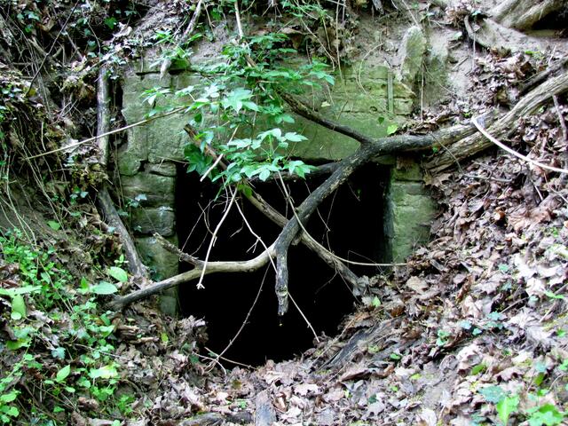 Wo mag es dort hineingehen? Du schiebst den Ast zur Seite. Die Finsternis ruft. Sie zieht dich gegen deinen Willen magisch an.