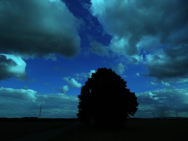 Sei vorsichtig am Schwarzen Busch, der in einer gottverlassenen Gegend zwischen Koldingen und Ruthe steht. Dort soll sich einst ein schlimmes Schicksal ereignet haben: Ein böser Raubritter zog plündernd und mordend durch das Calenberger Land. Auch er konnte schließlich ergriffen werden.