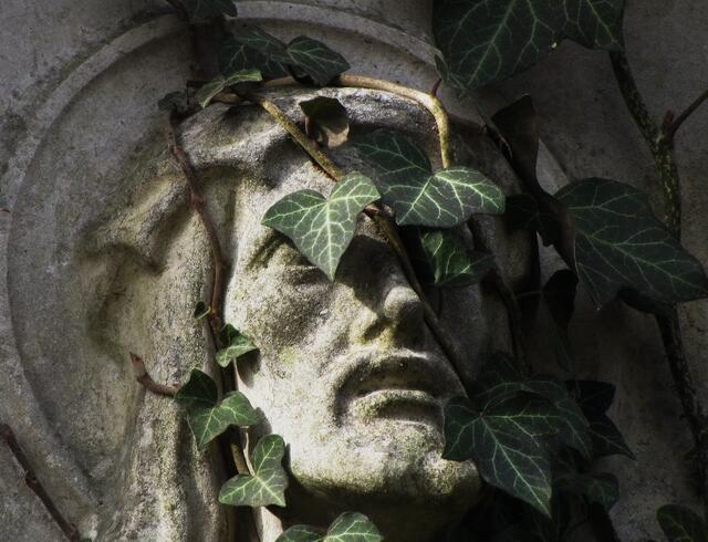 Im Vorbeigehen starrt, vom fahlen Mondlicht beleuchtet, ein Gesicht zu dir herüber. Hat es sich bewegt?