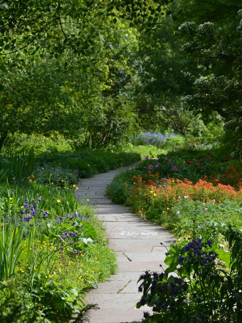 Berggarten im Jahreslauf - kunterbunte Blütenpracht im Mai

Farbenpracht im Staudengrund

(Foto: Katja Woidtke)