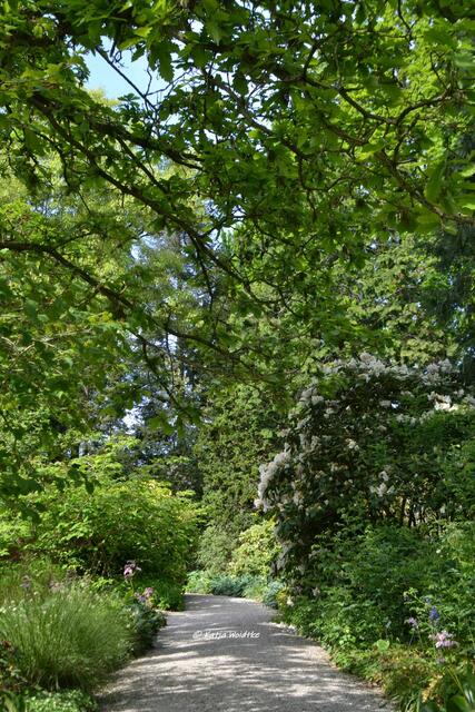 Berggarten im Jahreslauf - kunterbunte Blütenpracht im Mai

Idylle am Moorweiher

(Foto: Katja Woidtke)